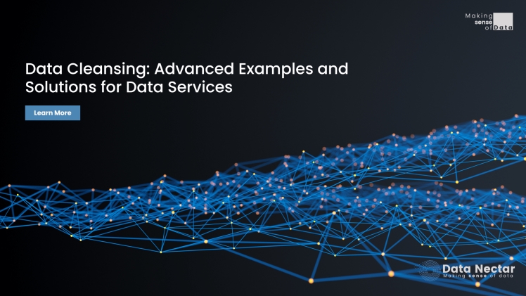 Data Cleansing: Advanced Examples and Solutions for Data Services