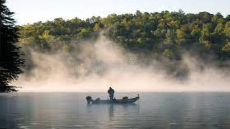 The Rising Fog: A Comprehensive Look