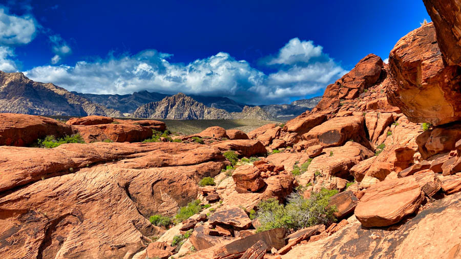 How Does Workers Comp Work In New Mexico?