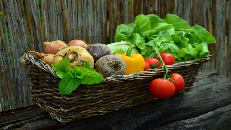 The Amazing Benefits Of Health: A Comprehensive Guide