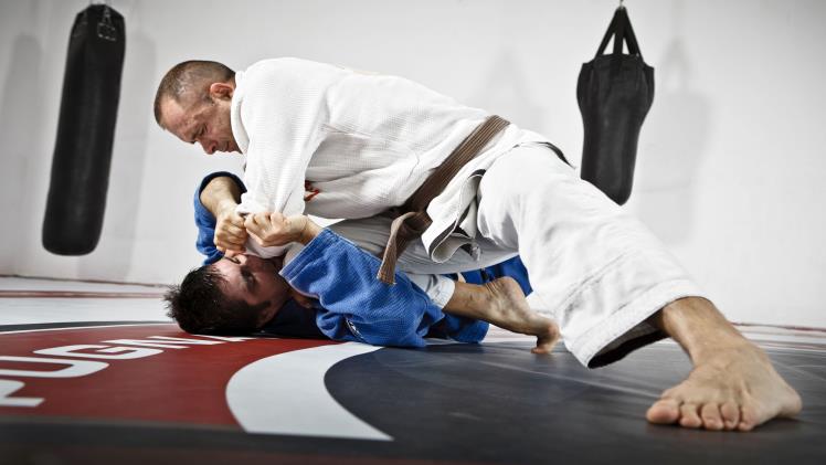 The Evolution of Martial Arts: Tradition Meets Modern Fitness
