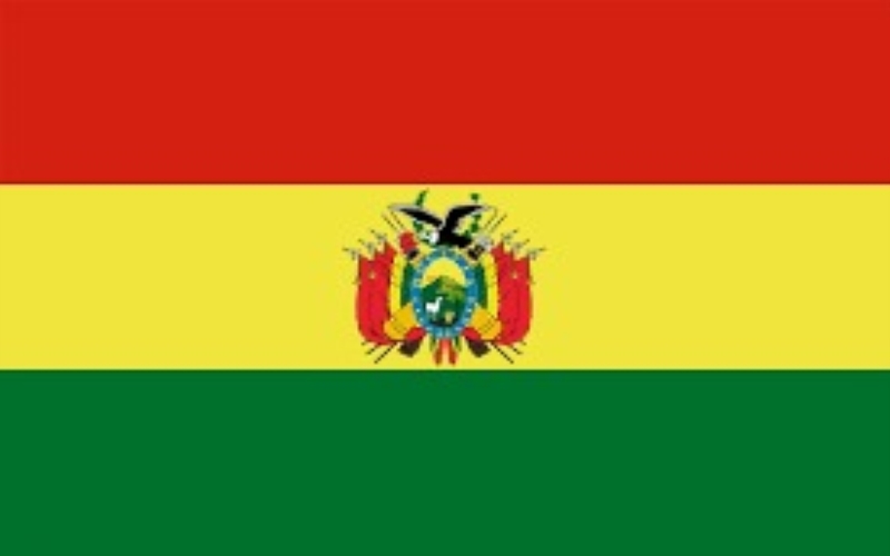 What is the Command Flag? Learn The Most Standard Game Rules Today