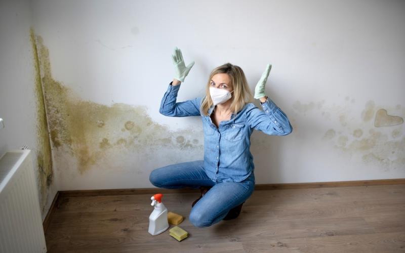 Mold Prevention and Removal After Water Damage