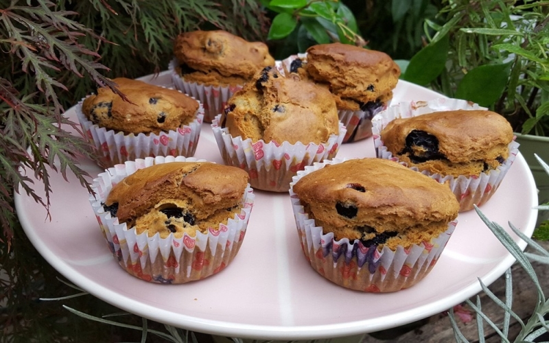 From Farm to Muffin: Exploring Sustainable Themes in Muffin